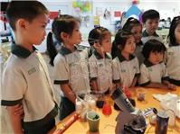 2019 小博士假日科学营