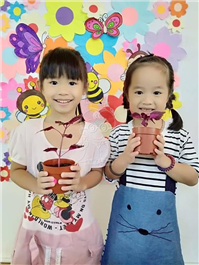 2019 一盆变十盆