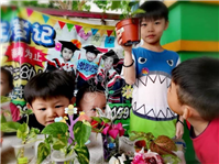 2019 一盆变十盆