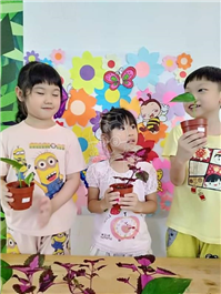 2019 一盆变十盆