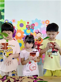 2019 一盆变十盆