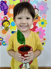 2019 一盆变十盆