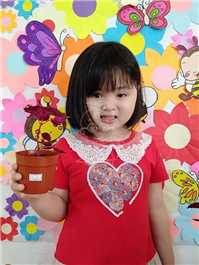 2019 一盆变十盆