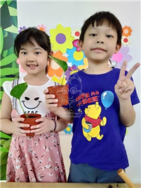 2019 一盆变十盆